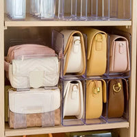 Organizador de Bolsa Acrílico com Divisória Carpetino